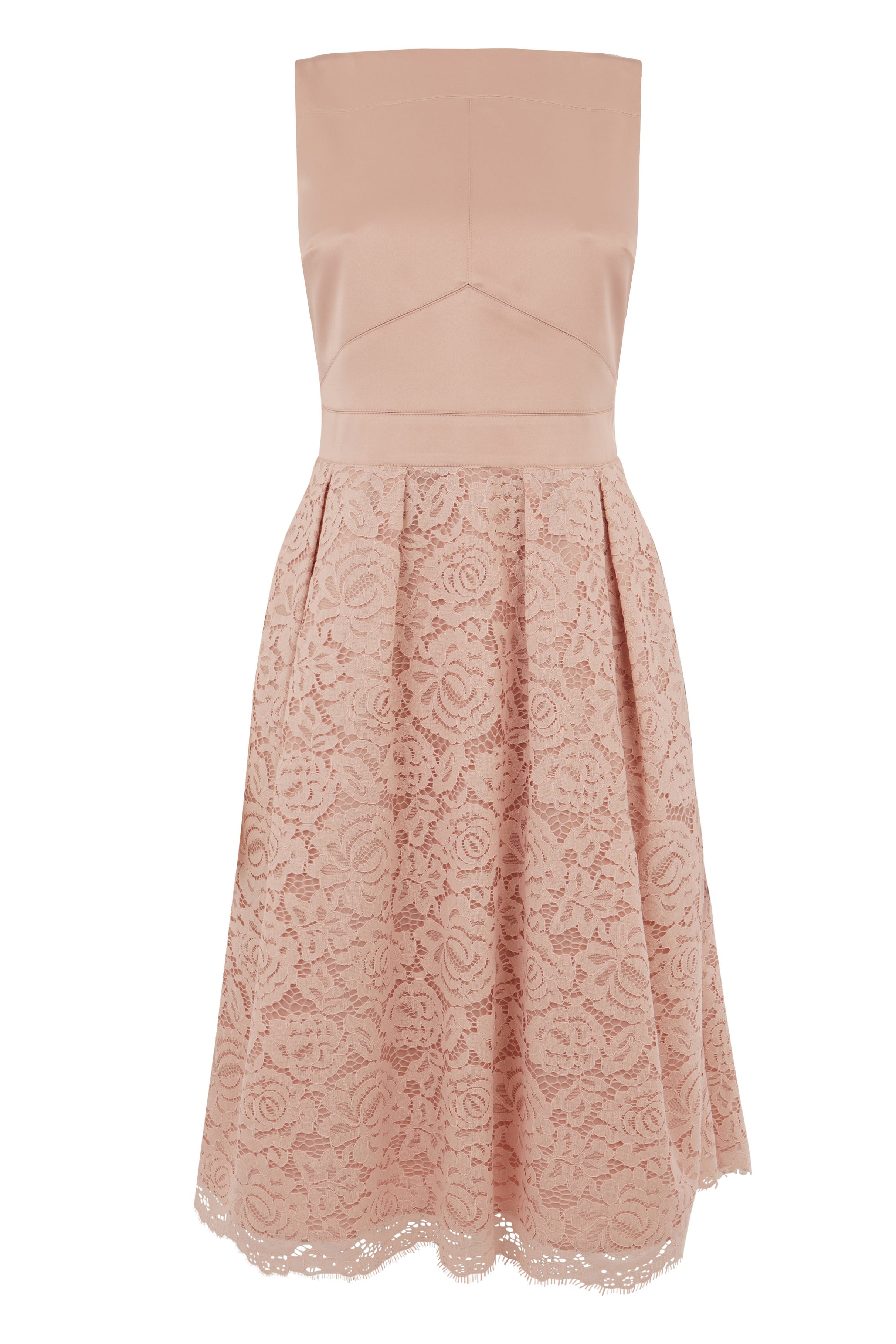 Oasis Dresses